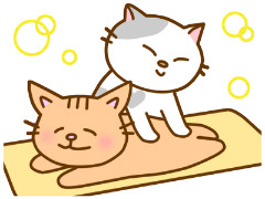 【経験豊富な施術者】広島市の訪問マッサージ｜緩和ケアにも対応